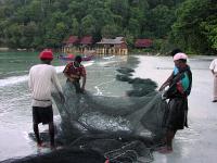 Malaysien 2003