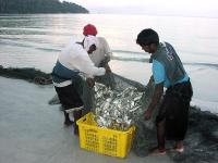 Pangkor Malaysien 2003