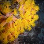 M0011572 