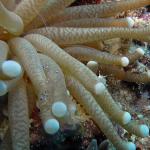 M0010715 a