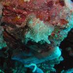 M0011151 a