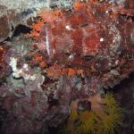 M0011566 a