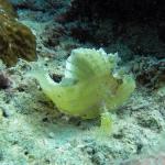 M0010754 a