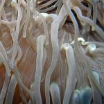 M0011329 a