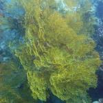 M0010395 