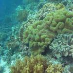 M0012045 