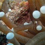 M0010422 a