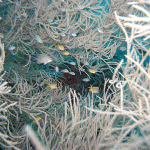M0010966 
