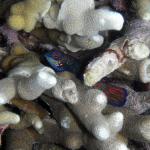 M0011067 a