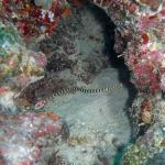 M0011353 a