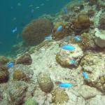 M0010757 