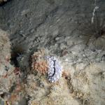 M0012011 a