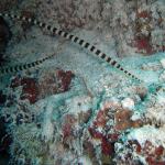 M0010895 a
