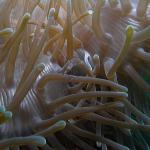 M0010017 a