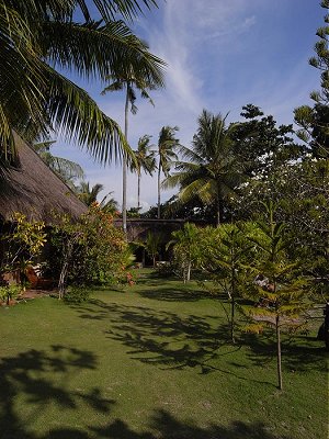 Tauchurlaub Ravenala Beach Bungalows, White Beach in Moalboal