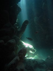 Unterwasserfotos Tauchbilder Tauchen Rotes Meer Port Ghalib (Marsa Alam) Resta Grand Resort / Matthes Reef Divers 