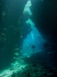 Unterwasserfotos Tauchbilder Tauchen Rotes Meer Mai 2010 MY Blue Seas Blue Planet Liveaboards
