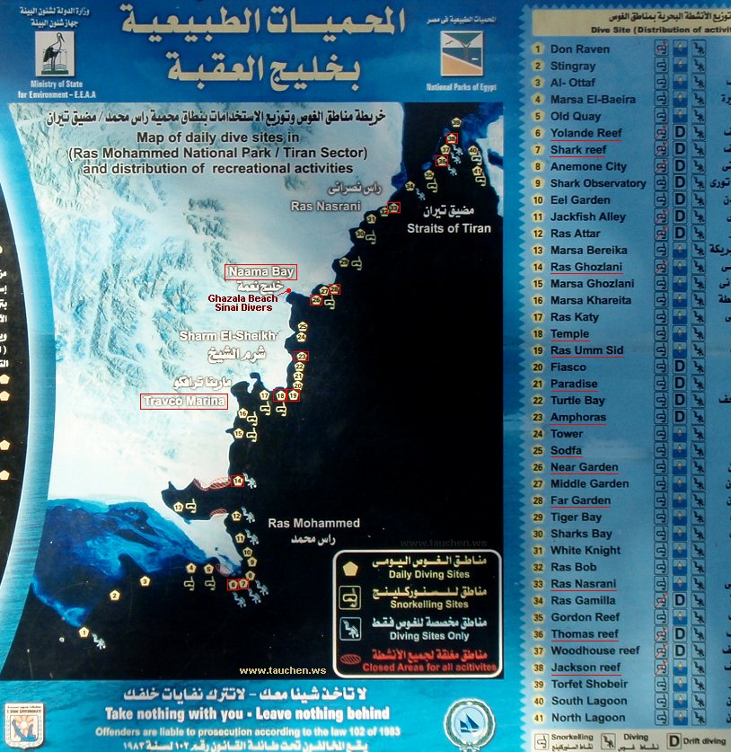 Unterwasserfotos Tauchbilder Ghazala Beach Hotel Hausriff Sinai Divers