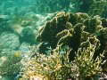 Unterwasserbilder Foto
