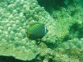 Unterwasserbilder Foto