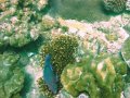 Unterwasserbilder Foto