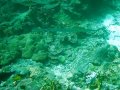 Unterwasserbilder Foto