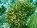 Unterwasserbilder Foto
