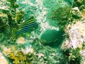 Unterwasserbilder Foto