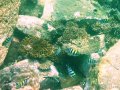 Unterwasserbilder Foto