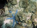 Unterwasserbilder Foto