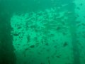 Unterwasserbilder Foto