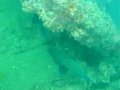 Unterwasserbilder Foto