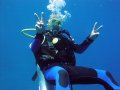 Unterwasserbilder Foto