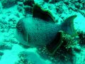 Unterwasserbilder Foto
