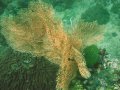 Unterwasserbilder Foto