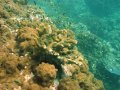Unterwasserbilder Foto