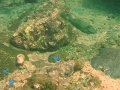 Unterwasserbilder Foto